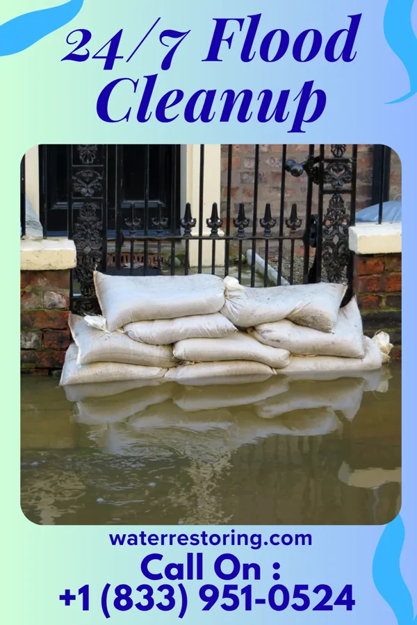 24/7 Flood Cleanup in Cave, MO